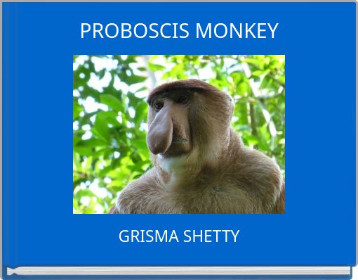 PROBOSCIS MONKEY