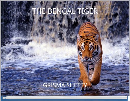 THE BENGAL TIGER