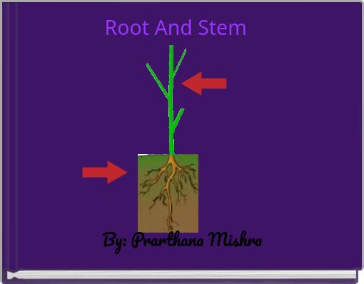 Root And Stem