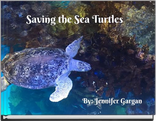 Saving the Sea Turtles