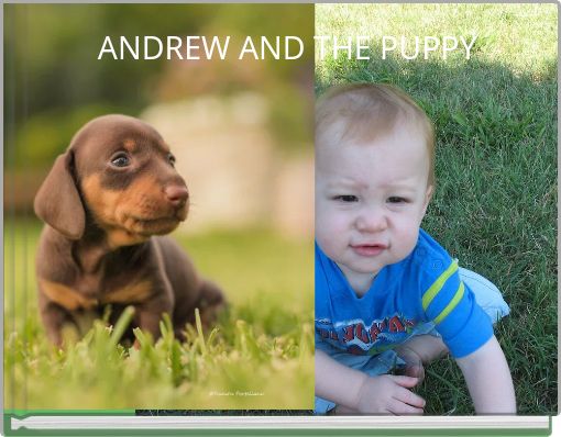 ANDREW AND THE PUPPY