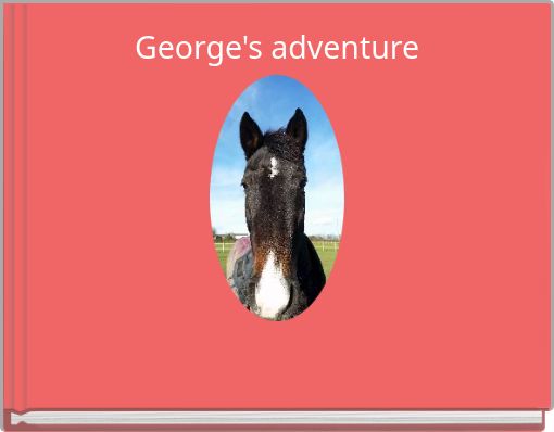 George's adventure