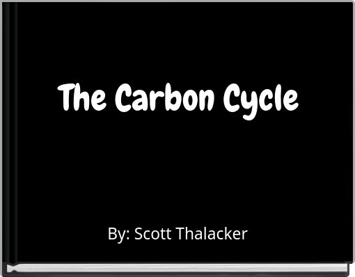 The Carbon Cycle
