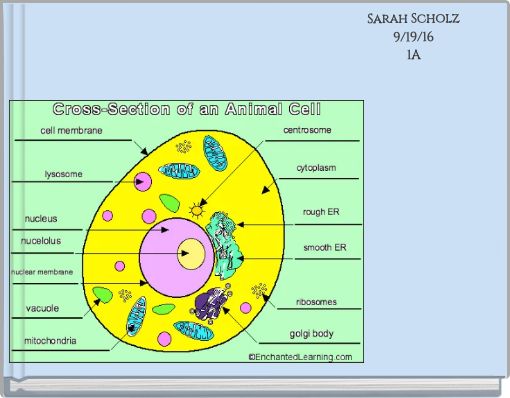 Sarah Scholz 9/19/16 1A
