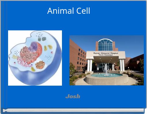 Animal Cell