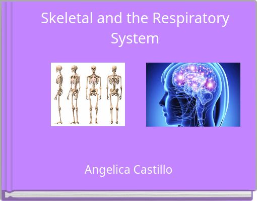 Skeletal and the Respiratory System