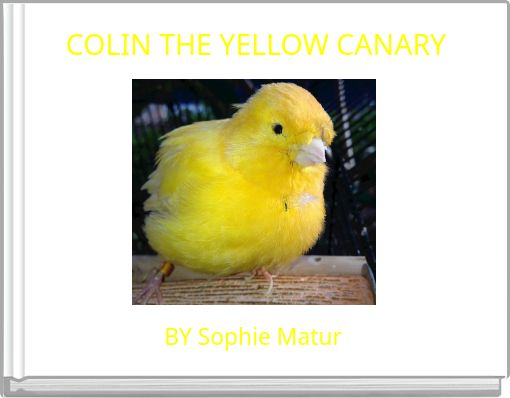 COLIN THE YELLOW CANARY