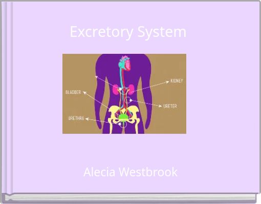 Excretory System