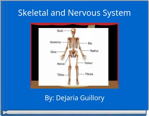 Skeletal and Nervous System