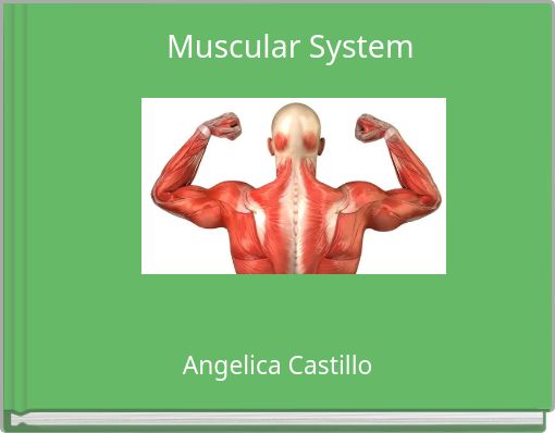 Muscular System