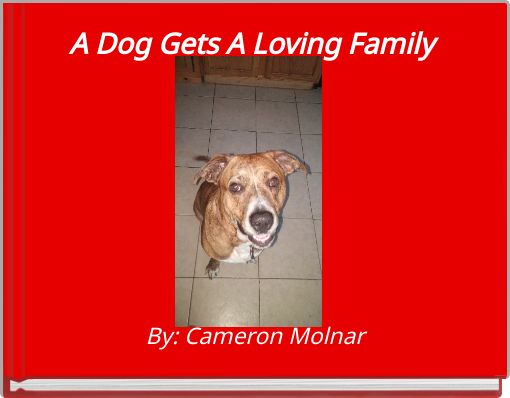 Book Cover for: A Dog Gets A Loving Family