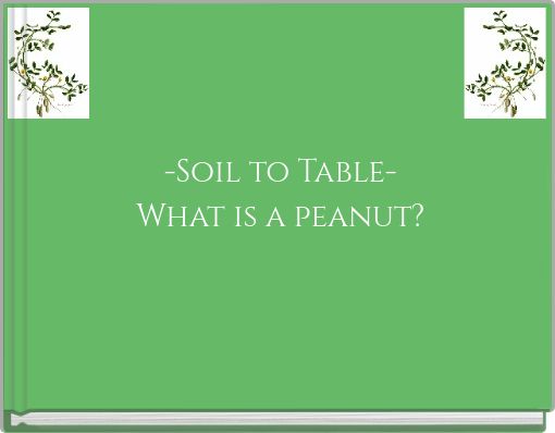 -Soil to Table- What is a peanut?