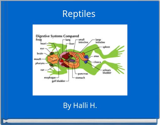 Reptiles