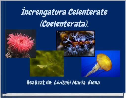 Front cover of 'Încrengatura Celenterate (Coelenterata).' 
