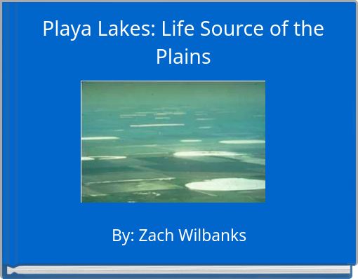 Playa Lakes: Life Source of the Plains