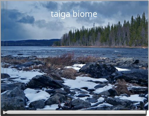 taiga biome