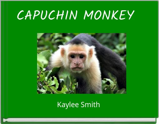 CAPUCHIN MONKEY
