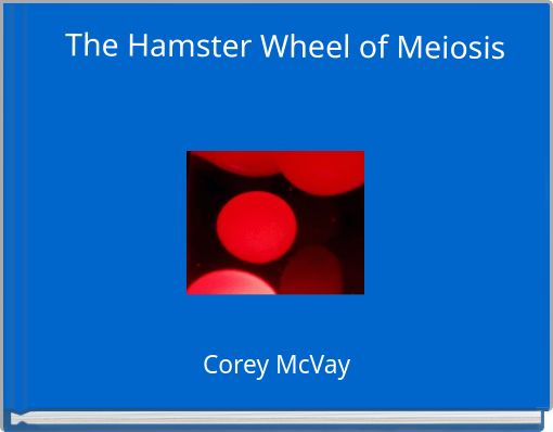 The Hamster Wheel of Meiosis
