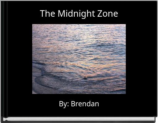 Front cover of 'The Midnight Zone' 