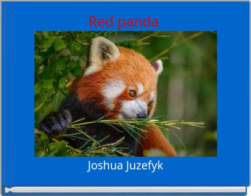 Red panda