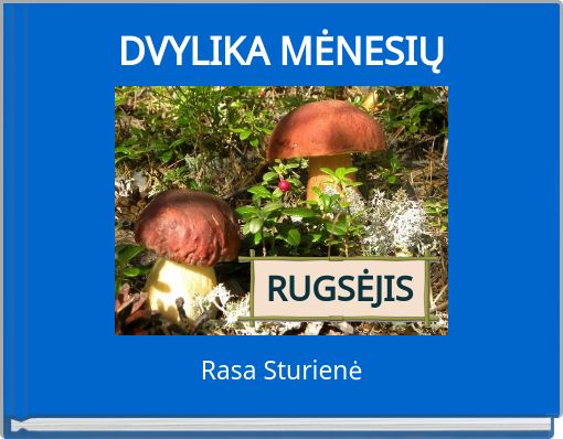 Book Cover for: DVYLIKA MĖN﻿ESIŲ