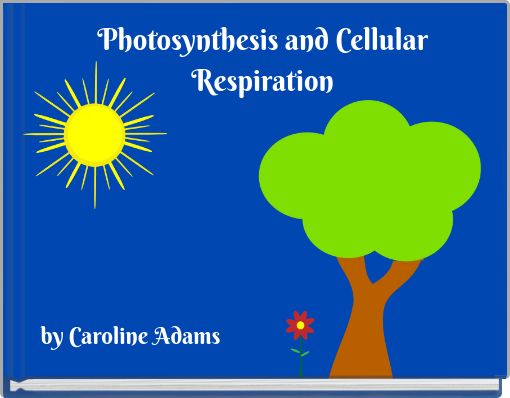 Photosynthesis and Cellular Respiration