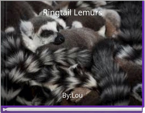 Ringtail Lemurs