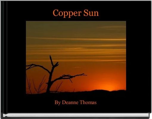 Front cover of 'Copper Sun' 