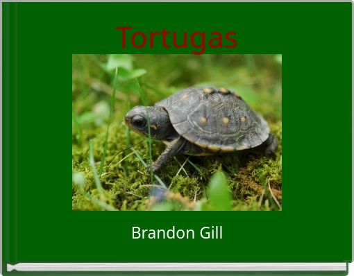 Tortugas