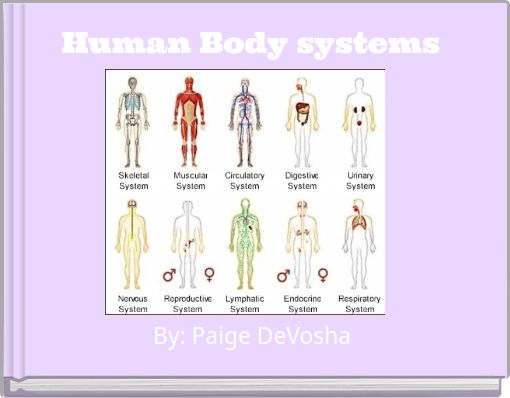 Book Cover for: Human Body systems