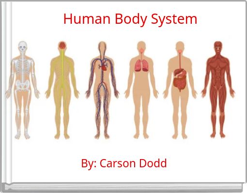 Human Body System
