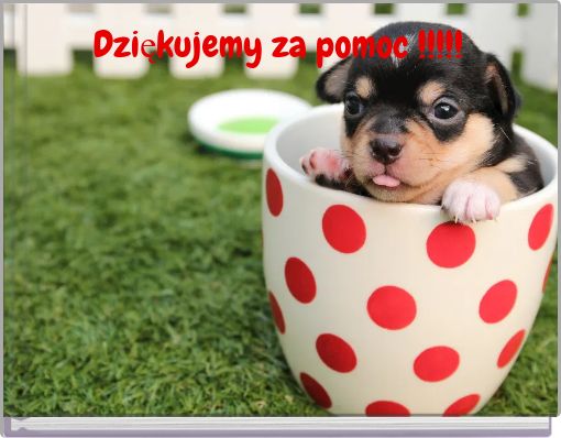 Dziękujemy za pomoc !!!!!