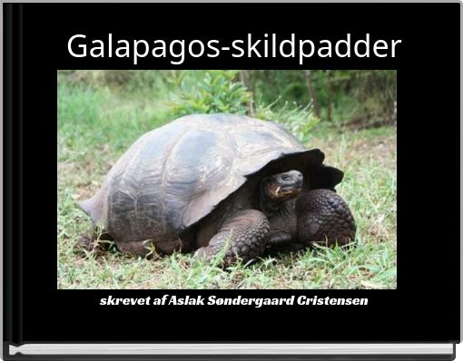 Galapagos-skildpadder