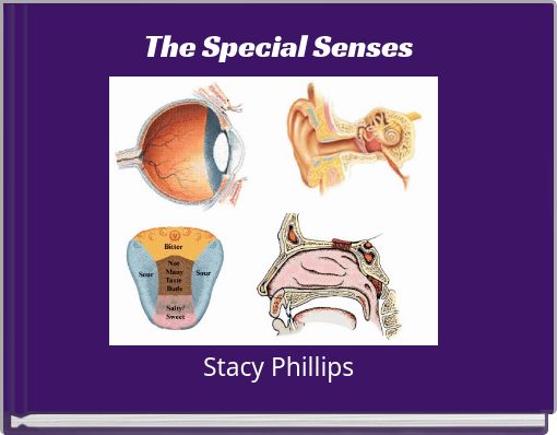 The Special Senses