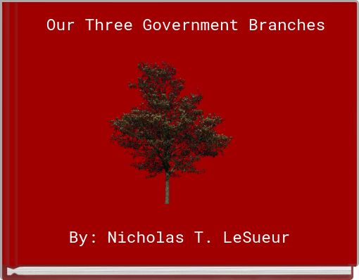 Our Three Government Branches