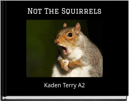 Front cover of 'Not The Squirrels' 