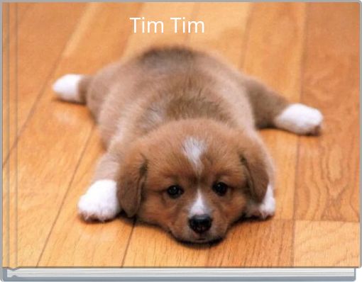 Front cover of 'Tim Tim' 