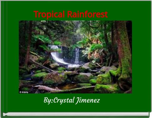 Tropical Rainforest