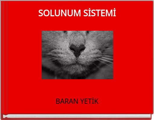 SOLUNUM SİSTEMİ