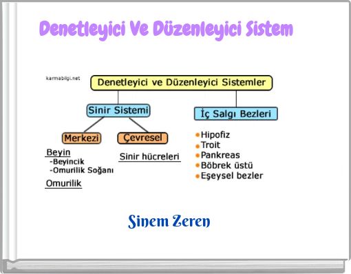 Denetleyici Ve D&uuml;zenleyici Sistem