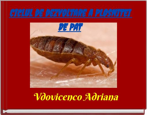 Ciclul de dezvoltare a PLOsNITEI DE PAT