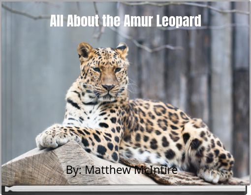 All About the Amur Leopard