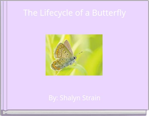 The Lifecycle of a Butterfly