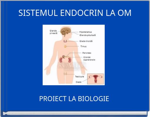 SISTEMUL ENDOCRIN LA OM