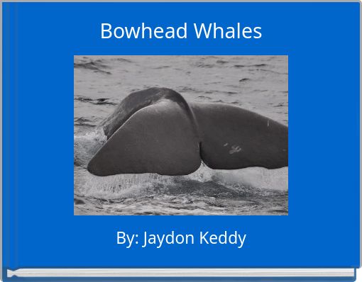 Front cover of 'Bowhead Whales' 