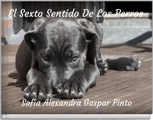 El Sexto Sentido De Los Perros