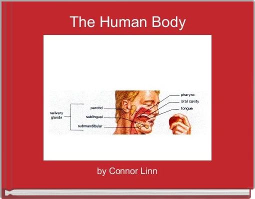 Front cover of 'The Human Body' 