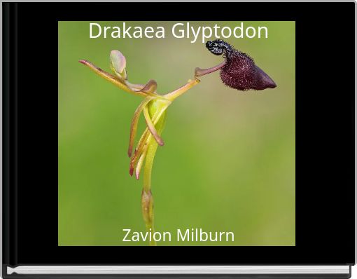 Front cover of 'Drakaea Glyptodon' 
