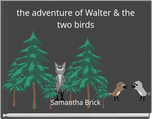 Front cover of 'the adventure of Walter & the two birds' 
