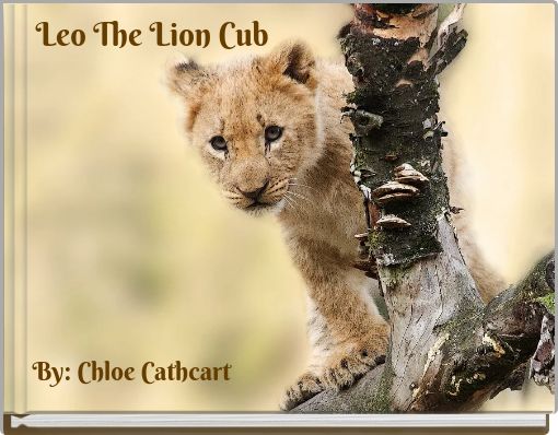 Leo The Lion Cub
